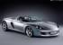 Porsche 카레라 GT